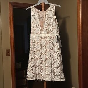Adrianna Papell Ivory size 16